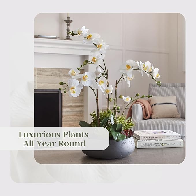 Faux Orchid Plant w/Succulents, Premium Artificial Indoor Flower Display Stands 24” w/Beautiful Sculptural Blooms and Succulents That Lasts Forever, Grey Planter Pot Included