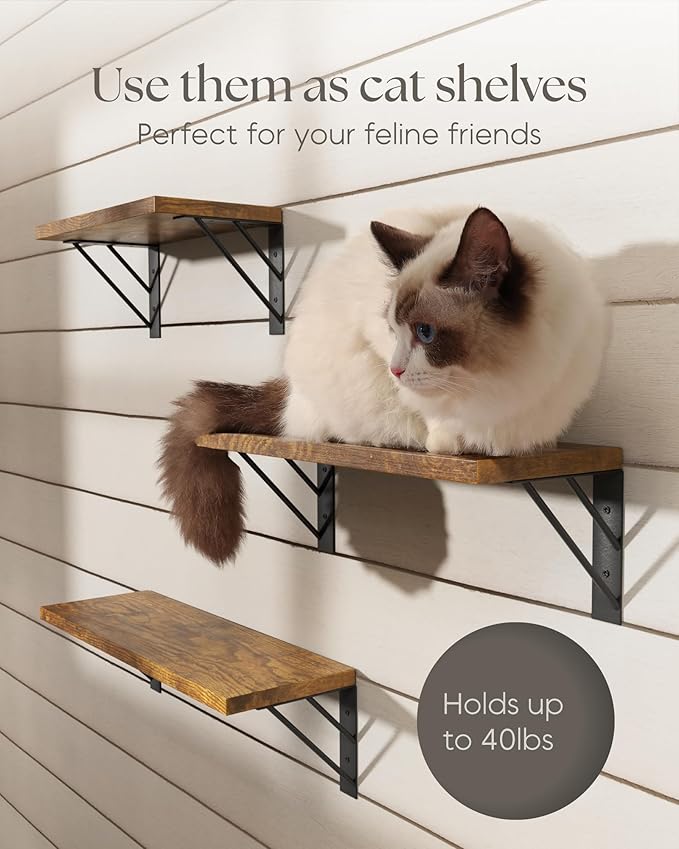 BAYKA Wall Shelves for Bedroom Decor, Floating Wall Shelves for Living Room Kitchen Storage, Wall Mounted Rustic Wood Floating Shelves for Kids Books,Corner Shelves for Bathroom(Set of 3)