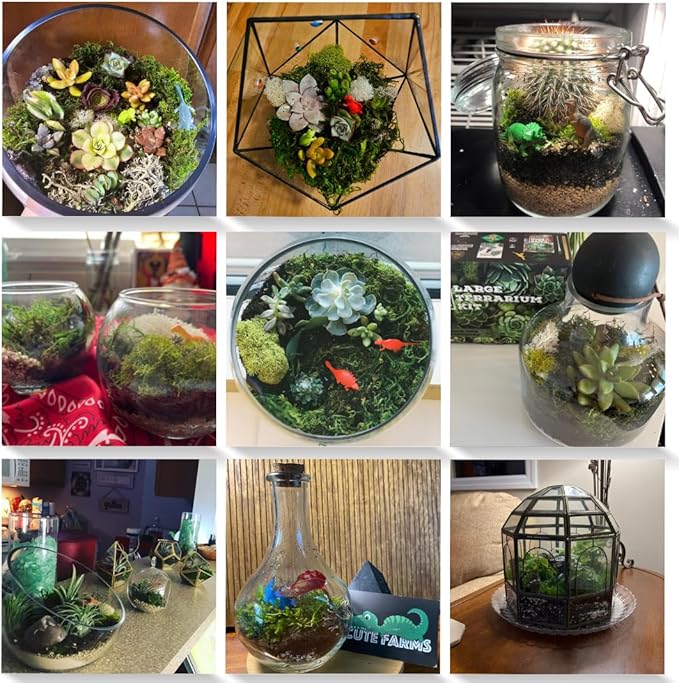 Cute Farms Terrarium Starter Kit | Moss, Vermiculite, Soil, Pebbles, Plant Food, Finishing Tools, Build and Care Guide | DIY Succulent Terrarium for Adults and Kids (Large + Live Plants)