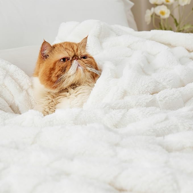 Bedsure GentleSoft California King Blanket for Bed - Super Soft Cozy Blankets for Women Men Girls, Large Fuzzy Fleece Throw for Bedroom Decor, White, 102x96 Inches