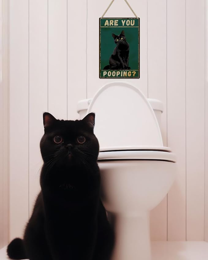 ALKB Funny Black Cat Sign Are You Pooping Metal Signs Black Cat Gift Vintage Bathroom Wall Decor 8 x 12 Inch