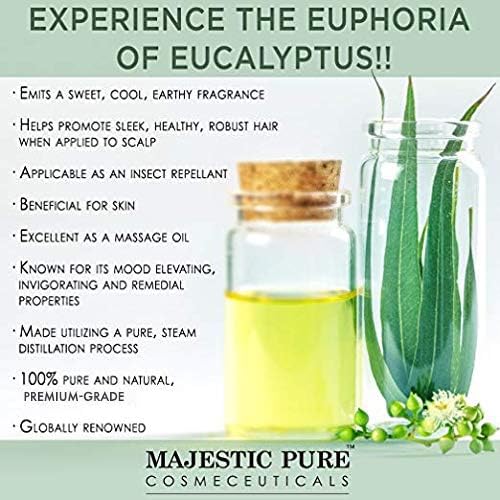 Majestic Pure Eucalyptus Essential Oil with Glass Dropper - 1 Fl Oz - 100% Pure and Natural Eucalyptus Oil - Premium Grade Essential Oils for Diffuser, Aromatherapy, Soap and Candle Making