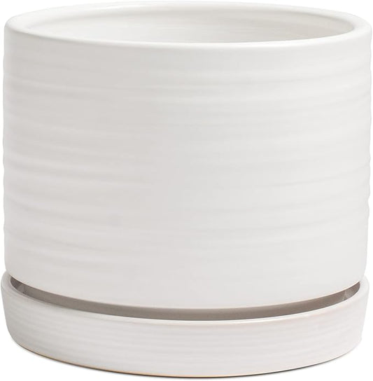 8 Inch Pots for Plants, Ceramic Planter Pot with Drainage Hole & Saucer, Indoor/Outdoor Cylinder Round Planter Pot, Matte White