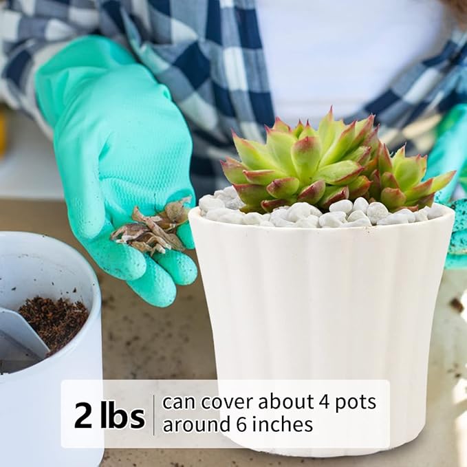 2LB Succulent and Cactus Gravel Pebbles, 1/5 Inch White Natural Decorative Polished Stones, River Rocks for Plants, Vases, Aquariums, Terrarium and Outdoor Gardening,White