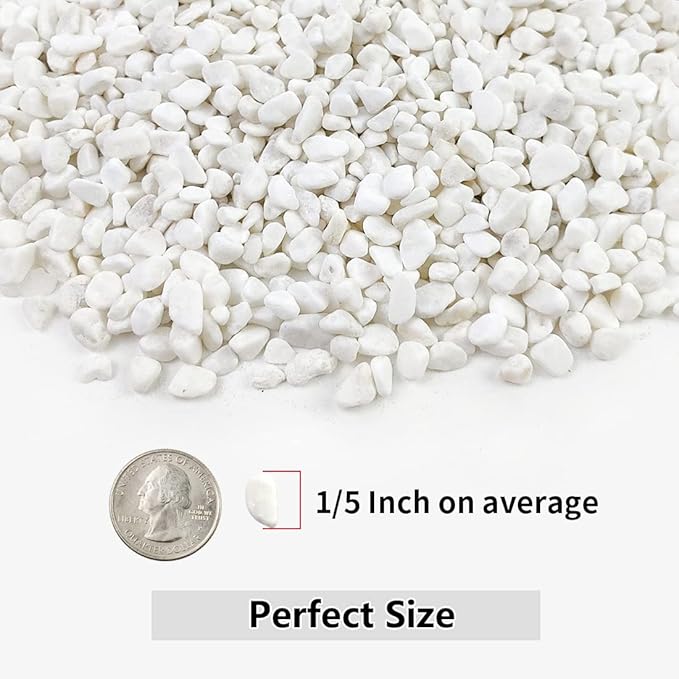 2LB Succulent and Cactus Gravel Pebbles, 1/5 Inch White Natural Decorative Polished Stones, River Rocks for Plants, Vases, Aquariums, Terrarium and Outdoor Gardening,White