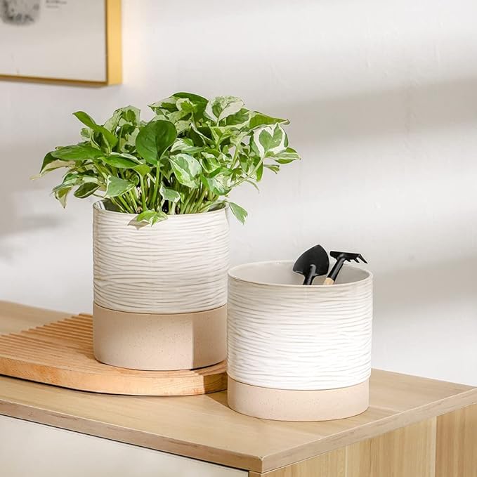 Nihow Ceramic Plant Pot: 6 Inch Planter with Drainage Hole & Saucer for Indoor & Outdoor Plants - Cylinder Round Flower Pot for Succulent/Herbs/Violets - Cream White & Brown