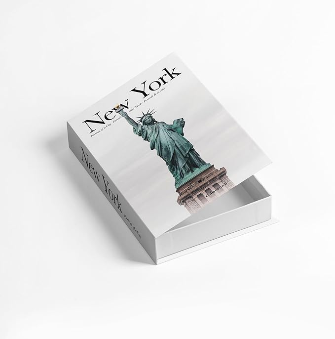 Decorative Storage Book Box – Hidden Storage for Remote Controls, Keys, and Small Items – Elegant Home Decor for Living Room, Bedroom, Coffee Table – Modern Style Faux Book Organizer (New york)