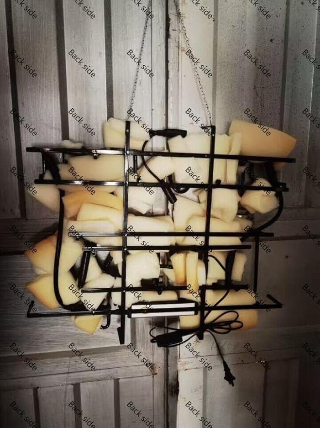 Auto Detailing Shop GLASS Neon Signs,GLASS Neon Light for Office Cafe Party Man Cave Neon Light Art Wall Lights 24 X 20 Inches