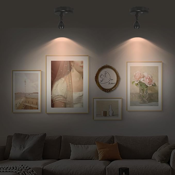 Cordless Spotlight Battery Operated, RGB Uplights with Remote and Timer, LED Indoor Plant Light, Dimmable Tree Accent Lighting, Color Changing Wall Lights for Art Painting Picture Dartboard