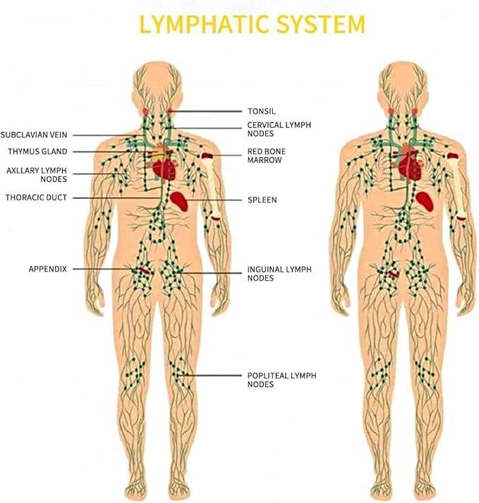 Ginger Oil,Ginger Massage Oil for Lymphatic Drainage,Natural Body Oil for Skin,Arnica Oil,Sore Muslce Massage Oil,Spa Ginger Oil-Warming and Relaxing for Mothers Day Gifts&Fathers Day Gift