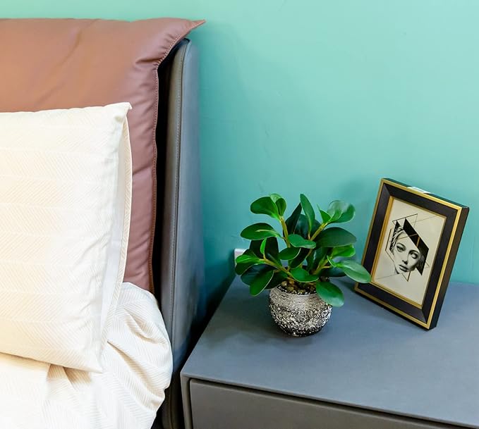 AlphaAcc Artificial Plants Potted Real Looking Small Faux Plant with Rustic Black Cement Planter for Kitchen Office Desk Bookshelf Decor (Ficus Plant)