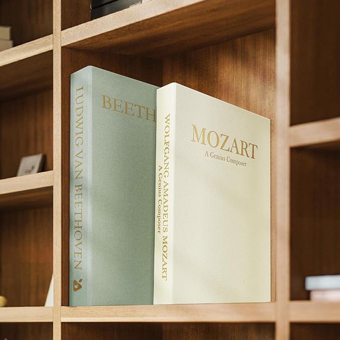 Aesthetic Decorative Books -Set of 2 Minimalist Linen Hardcover Faux/Fake Books for Coffee Table Home Decor Living Room Decoration, Photo Storage or as a Keepsake Box(Sage-beige-musician)