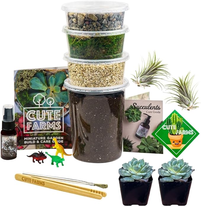 Cute Farms Terrarium Starter Kit | Moss, Vermiculite, Soil, Pebbles, Plant Food, Finishing Tools, Build and Care Guide | DIY Succulent Terrarium for Adults and Kids (Large + Live Plants)