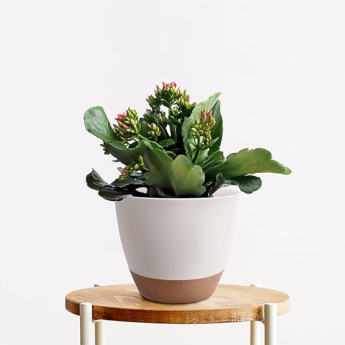 Giraffe Creation Plant Pots Set of 3 (12/10/9 inch), Self-Watering Indoor & Outdoor Flower Planters with Drainage Hole and Reservoir, White