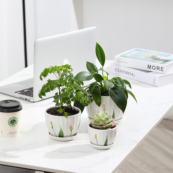 Ceramic Plant Pots with Drainage Holes and Saucers, Round White Flower Pots for Indoor Plant, Diameter 3.3/4.3/5.5 Inches Small Flower Planters Set of 3