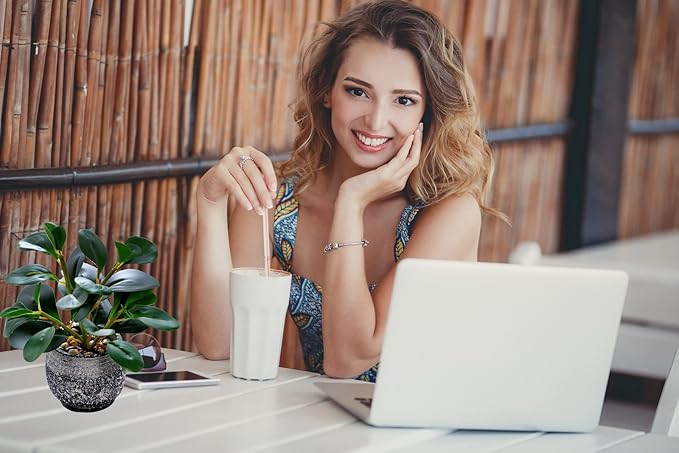 AlphaAcc Artificial Plants Potted Real Looking Small Faux Plant with Rustic Black Cement Planter for Kitchen Office Desk Bookshelf Decor (Ficus Plant)