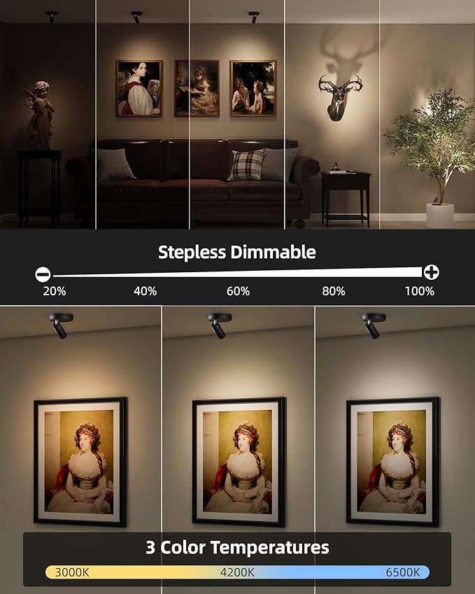 EZVALO Wireless LED Spotlights Indoor, 5500mAh Rechargeable Battery Powered Plants Spotlights Indoor, Dimmable & Timer, 3 CCT Small Up Lights with Remote, Accent Uplighting for Artwork,Tree(Black)