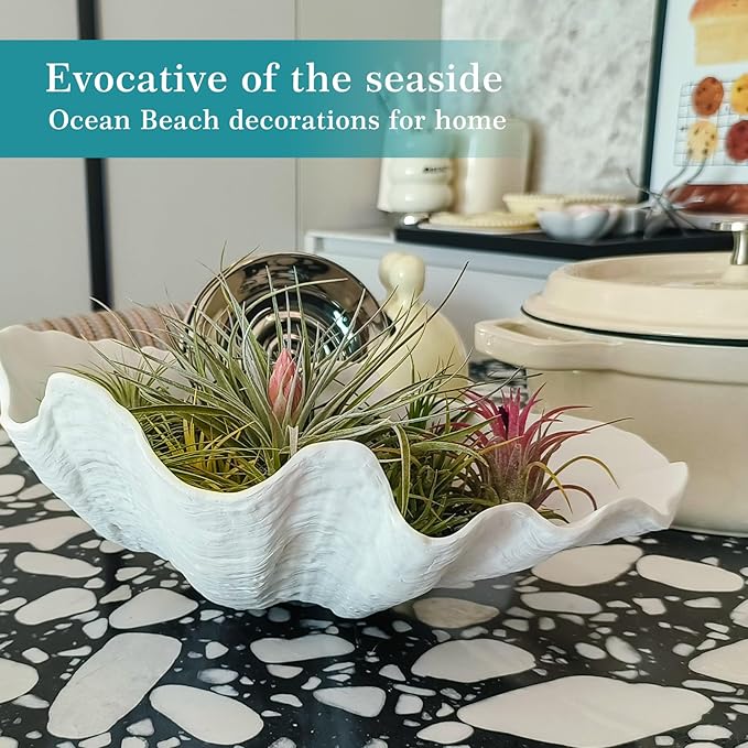 Accessoryway Extra Large Clam Shells Decorative Bowl-White Sea Shells Decorative Storage Bowls for Coastal Beach theme house table centerpiece decorations & Nautical decor for coffee table-12.4"-1PC