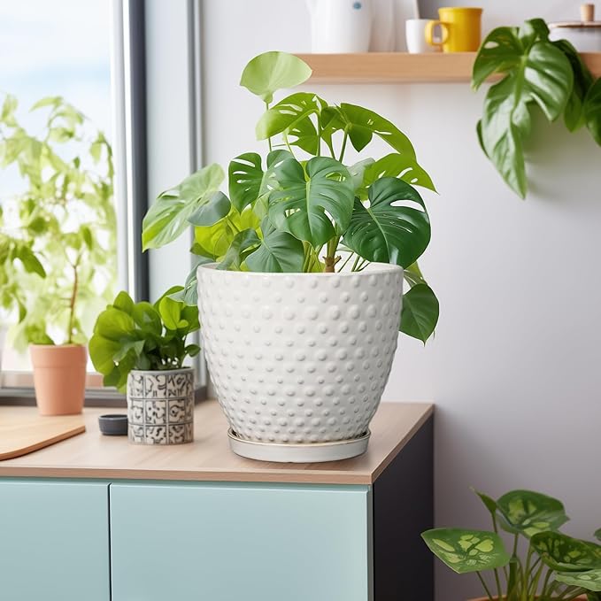 G EPGardening 8 Inch Plant Pot for Indoor Outdoor Plants Round Ceramic Planter Pot with Drainage Hole and Saucer Modern Large Flower Pot White