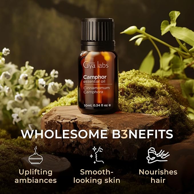 Gya Labs Camphor Oil - 0.34 Fl Oz - 100% Pure Natural Camphor Oil for Skin, Hair, DIY, Aromatherapy - Fresh Sharp & Slightly Woody & for Candle Making Scent