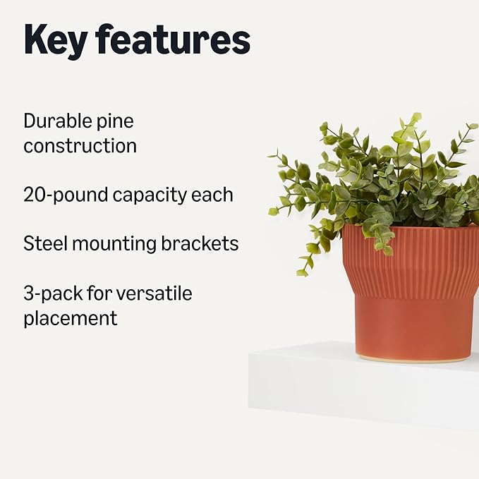 Amazon Basics Wood Floating Wall Shelves, Pack of 3, White, 15.8" x 5" x 1.8"