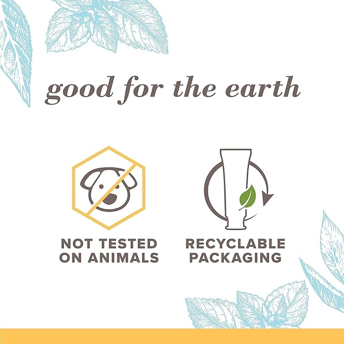 Burt's Bees Extra White Toothpaste, Fluoride Toothpaste, Natural Flavor, Mountain Mint, 4.7 oz, Pack of 3