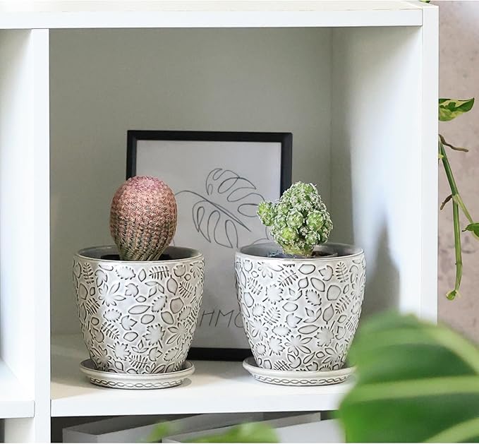 4 Inch Mini Plant Pots, Ceramic Succulent Planter with Drainage Hole and Saucers for Indoor Plants, Small Garden Pots for Succulent, Herb and Flower, Set of 4