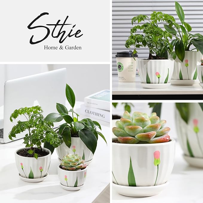 Ceramic Plant Pots with Drainage Holes and Saucers, Round White Flower Pots for Indoor Plant, Diameter 3.3/4.3/5.5 Inches Small Flower Planters Set of 3