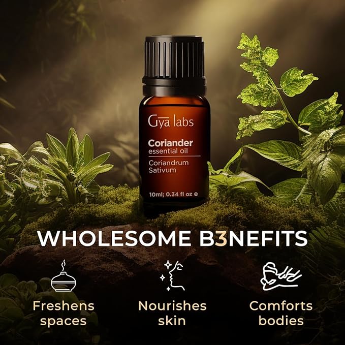 Gya Labs Coriander Essential Oil for Diffuser - 0.34 Fl Oz - 100% Pure Natural Coriander Oil for Skin, Aromatherapy, Skincare Massages & Candle Making Scent