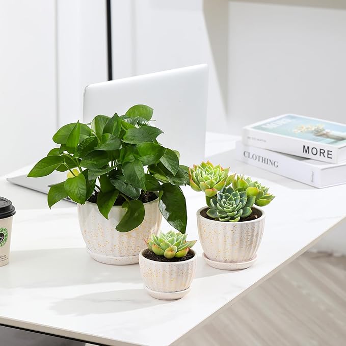 Ceramic Plant Pots with Drainage Holes and Saucers, Round Flower Pots for Indoor Plant, Diameter 3.3/4.3/5.5 Inches Small Flower Planters Set of 3