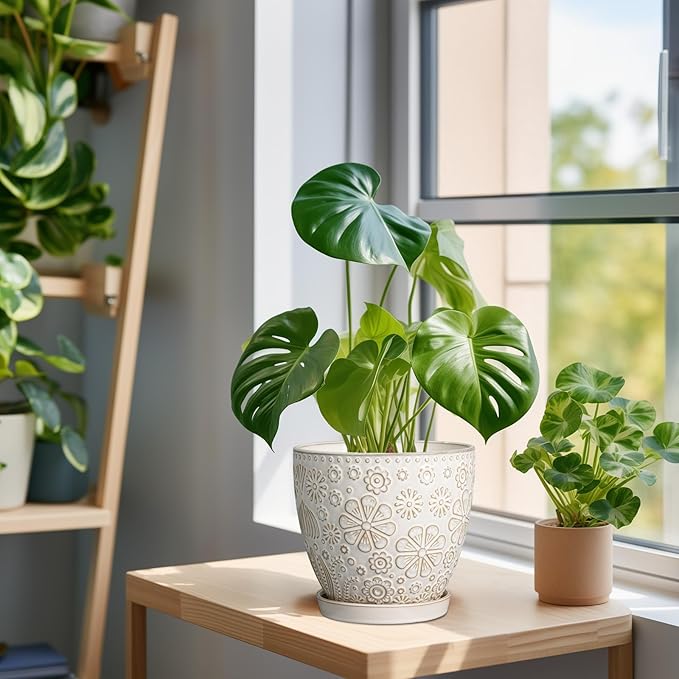 6.9 Inch Plant Pot with Drainage Hole and Saucer Ceramic Planter for Indoor Plant Flower Pot for Orchid Succulents Plants White