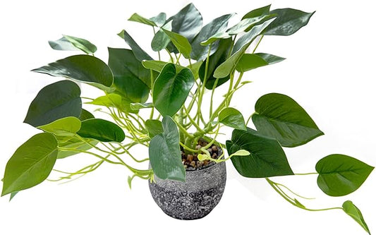 AlphaAcc Artificial Plants Potted Real Looking Small Faux Plant with Rustic Black Cement Planter for Kitchen Office Desk Bookshelf Decor (Ivy Plant)