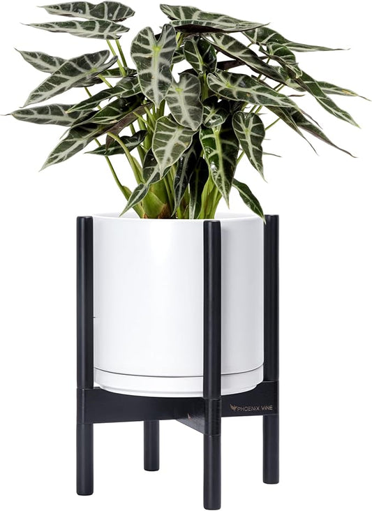 D'vine Dev Ceramic Planter with Ebony Stand - 10 Inch Modern Round Flower Pot with Wood Planter Holder, White, 55-B-L-1