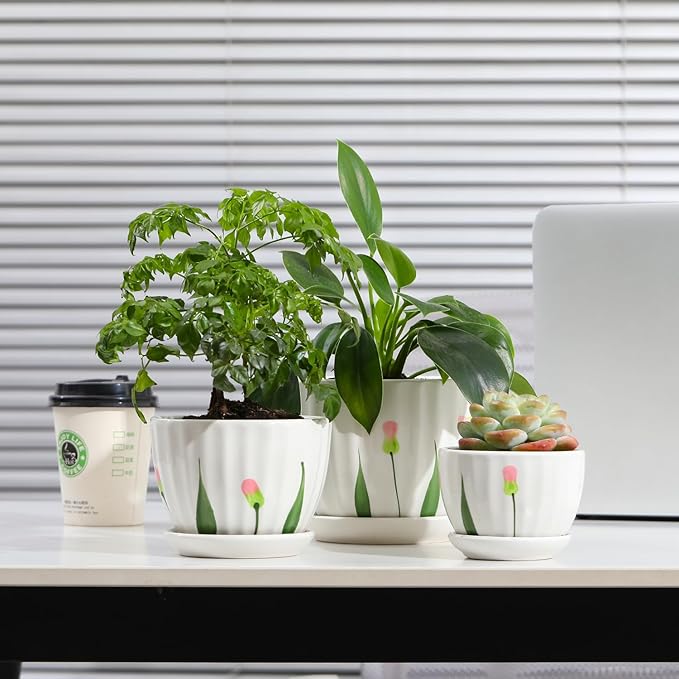 Ceramic Plant Pots with Drainage Holes and Saucers, Round White Flower Pots for Indoor Plant, Diameter 3.3/4.3/5.5 Inches Small Flower Planters Set of 3