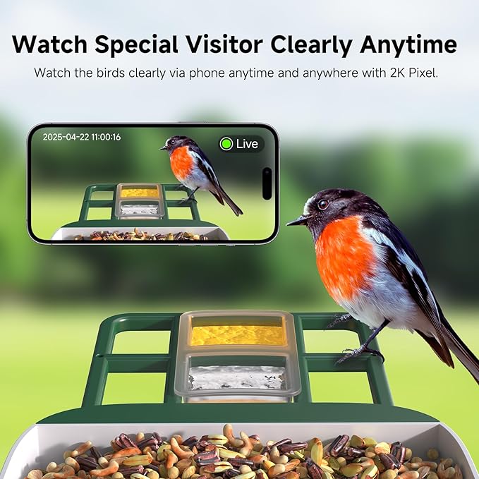 Bird Feeder with Camera AI Identify 2K Live Video Smart Bird Feeder with Camera, 2.4GHZ WiFi Solar Birds House Cameras, Motion Detection Instant Arrival Alerts, Ideal Present for Birds Lovers