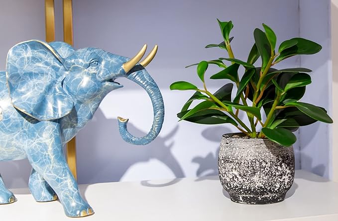 AlphaAcc Artificial Plants Potted Real Looking Small Faux Plant with Rustic Black Cement Planter for Kitchen Office Desk Bookshelf Decor (Ficus Plant)