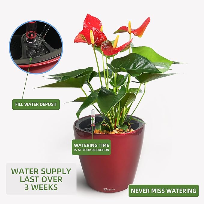 Dexceder 9x8 Inches High Gloss Self Watering Planter Indoor Outdoor, Inner Pot Design, Thickened Table Flower Plant Pot with Water Level Indicator (Red)