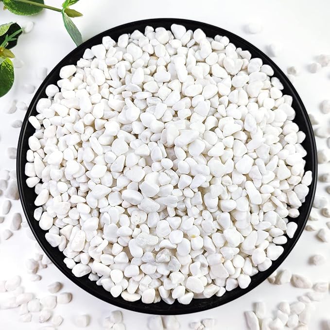10LB Succulent and Cactus Gravel, 1/5 Inch White Natural Decorative Polished Pebbles for Landscaping, River Rocks for Plants, Vases, Aquariums, Terrarium and Outdoor Gardening