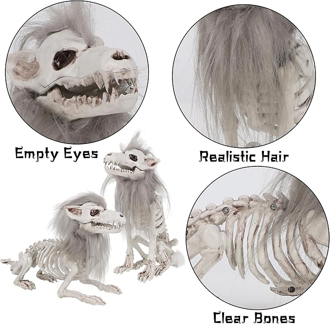 DR.DUDU 2 Pack Halloween Skeleton Wolf Decorations, Life Size Animals Skeletons Poseable Halloween Decor Plastic Bones with Hair Wolf Skull Figurines for Table Yard Lawn Party Props Décor