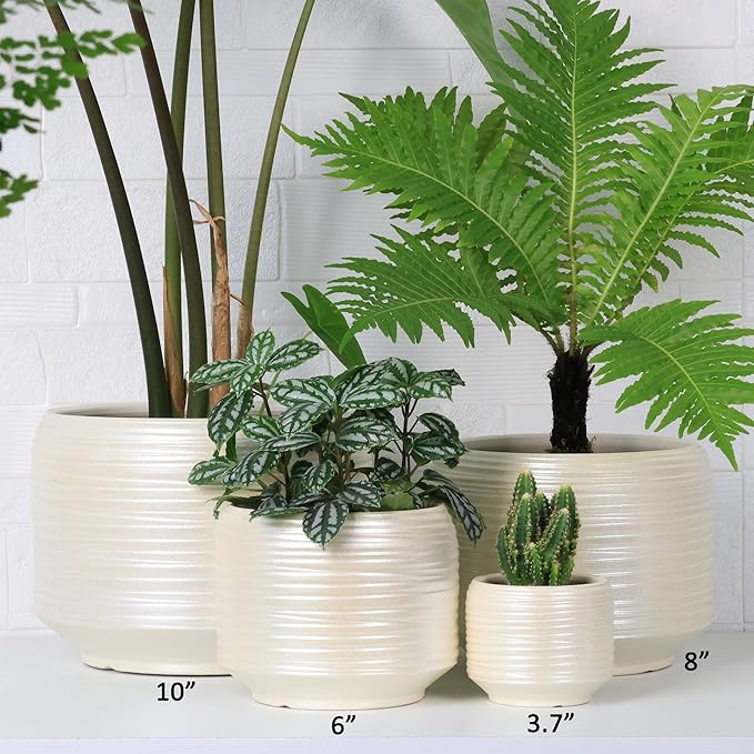 8 Inch + 6 Inch Ceramic Plant Pots Indoor with Drainage – Flower Pot Set, Decorative Indoor Planters for House Plants and Garden Use