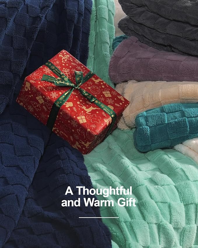 Pawque Super Soft Cozy Throw Blanket Queen Size for Couch Bed, Fluffy Sherpa Fleece Reversible Thick Warm Fuzzy Blanket for All-Season, 3D Checkered Jacquard Decorative Blankets, Cream White, 90"x90"