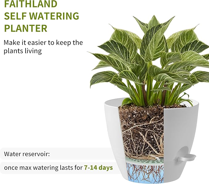FaithLand 3-Pack Planter Pots, 10 9 8 Inch Self Watering Flower Pots for Indoor Outdoor Garden Plants, White with Brown