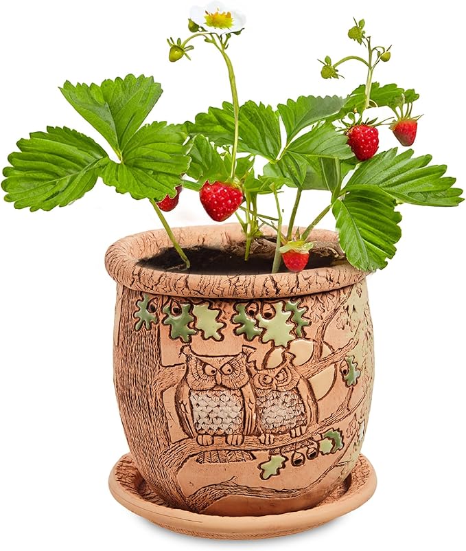 Ceramic Pot with Drainage Hole and Saucer, Plant Pots, Modern Decorative Planters for House Plants Indoor Flowers Plants, Cute Flower Pot - Gifts (Owls (1.6 L))