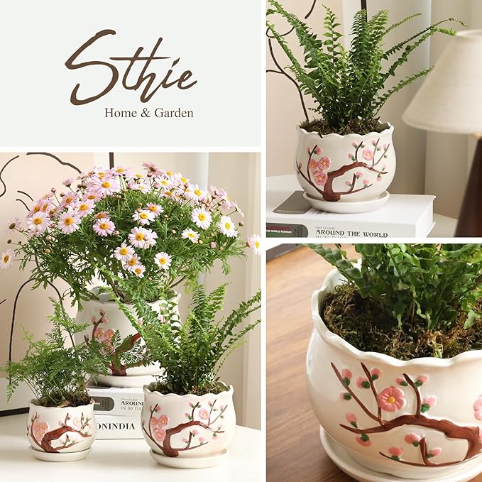 Ceramic Plant Pots with Drainage Holes and Saucers, Round Flower Pots for Indoor Plant, 3.9/5.2/6.7 Inches Small Flower Planters Set of 3