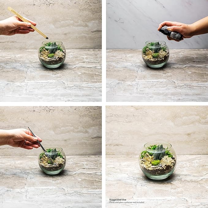 Cute Farms Terrarium Starter Kit | Moss, Vermiculite, Soil, Pebbles, Plant Food, Finishing Tools, Build and Care Guide | DIY Succulent Terrarium for Adults and Kids (Large + Live Plants)