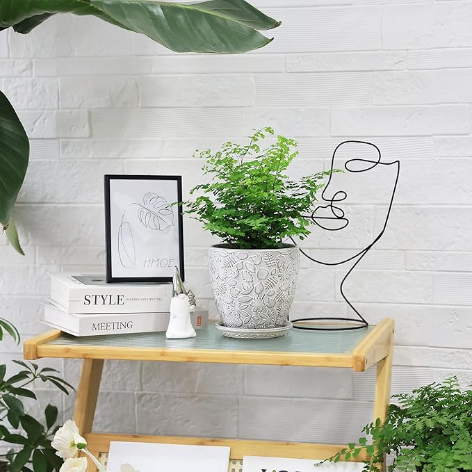 6 Inch Ceramic Planter Pots with Drainage Hole and Saucers for Indoor Plants, Garden Pots for Succulent, Orchid, and Flower - Set of 2