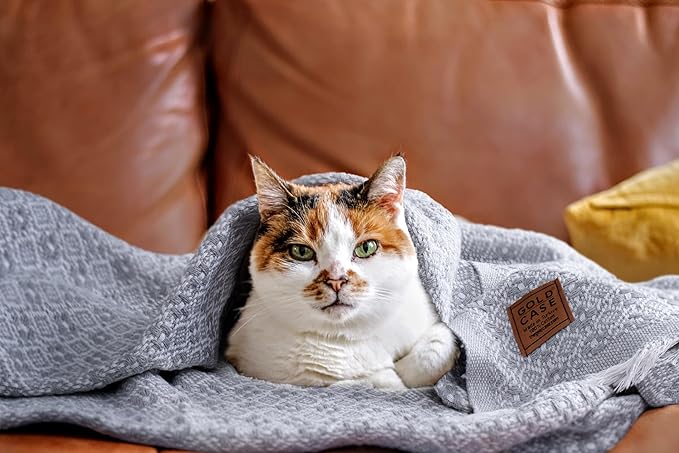 Gold Case Throw Blanket for Bed – 100% Recycled Turkish Cotton Bed Blanket – Decorative Throw Cotton Blankets for Living Room & Bedroom – Retro Navy Blue Woven Queen Blankets – 90x90