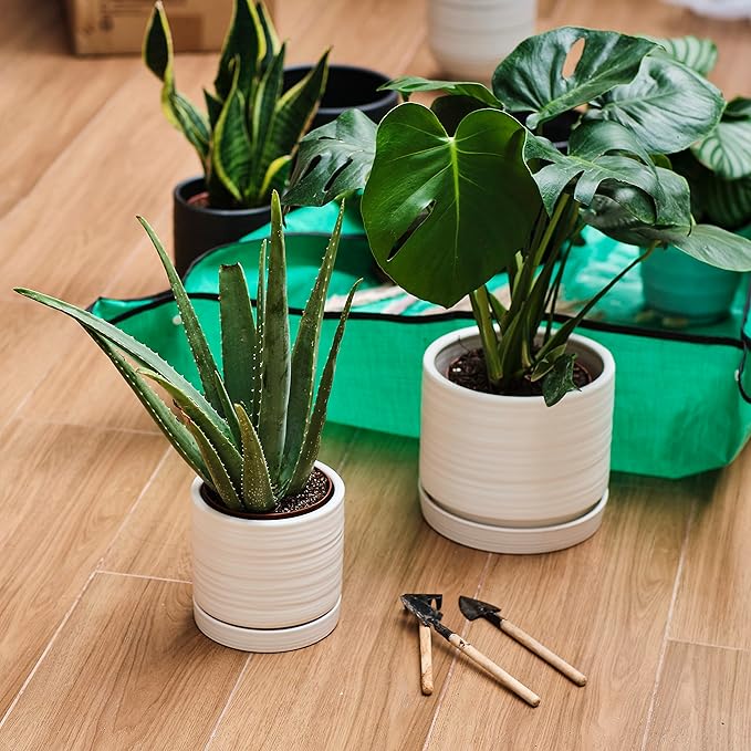 6 + 8 Inch Plant Pots, Ceramic Planter Pot with Drainage Hole & Saucer, Indoor/Outdoor Cylinder Round Planter Pot, Matte White