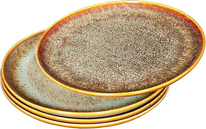 Ceramic Dinner Plates Dish Set,Set of 4,for Lunch snacks -Microwave Oven & Dishwasher Safe,Scratch Resistant,Dinnerware Kitchen Porcelain Serving Dishes 10 Inch Round