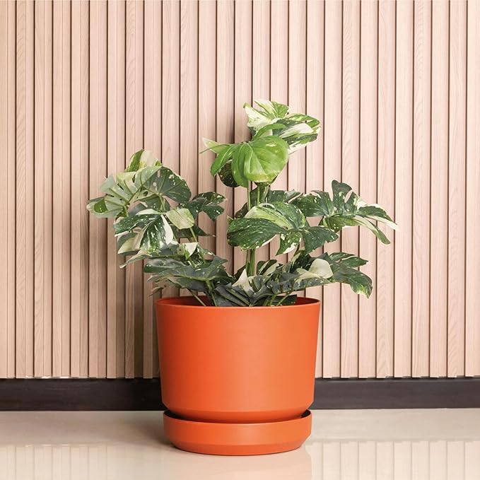 Elly Décor 8 inch Plastic Cylinder Planter Pot with Self-Watering Saucer and Drainage Hole,Lightweight & Extremely Durable, 8"x 8", Terracotta